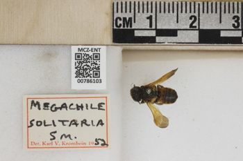 Media type: image;   Entomology 786103 Aspect: Labels